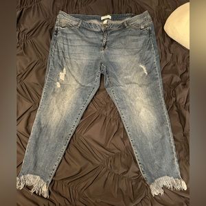 Lane Bryant Blue Jeans